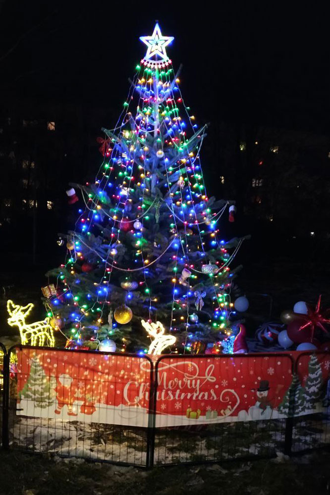 weihnachten, weihnachtsleuchten, lichter, garten, kmv jugendhilfe