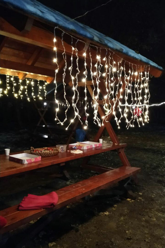 weihnachten, weihnachtsleuchten, lichter, garten, kmv jugendhilfe